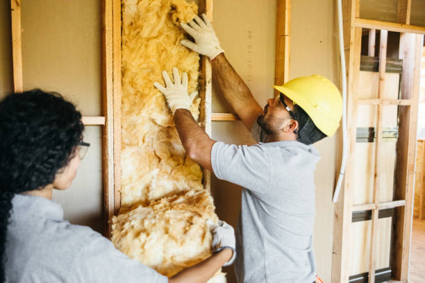 Professional Insulation Contractor in Titusville, FL